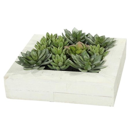 DARE2DECOR 12 in. Wall Succulent Arrangement DA1235936